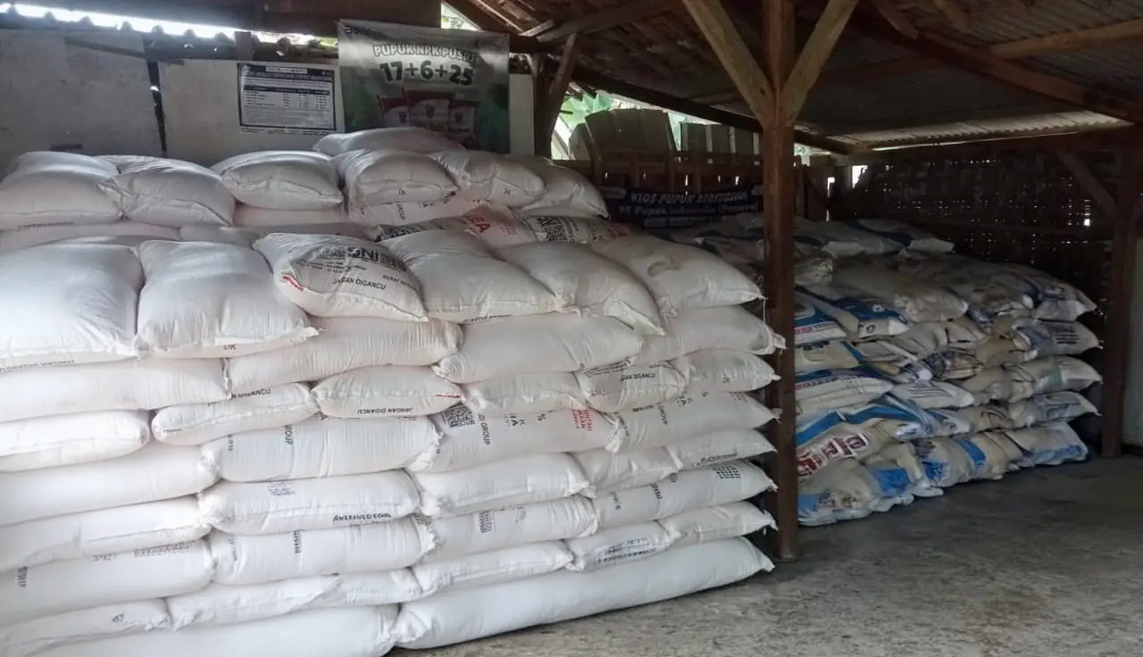 Dua Bulan Menanti, Petani di Lampung Timur Bernapas Lega Usai Pasokan Pupuk Siap Mengalir Lagi