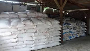 Dua Bulan Menanti, Petani di Lampung Timur Bernapas Lega Usai Pasokan Pupuk Siap Mengalir Lagi