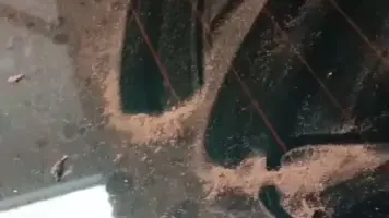 Kasus Pencemaran PT Woongsol Menggema, Wakil Ketua Komisi IV DPRD Lamsel: Saya Turun Langsung Besok