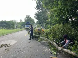 Respon Cepat Sat Samapta Polres Lampung Timur Evakuasi Pohon Tumbang, Akses Lintas Timur Sukadana Kembali Lancar